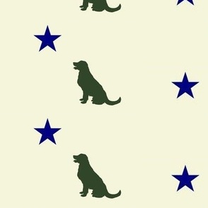 Maine Flag Dog