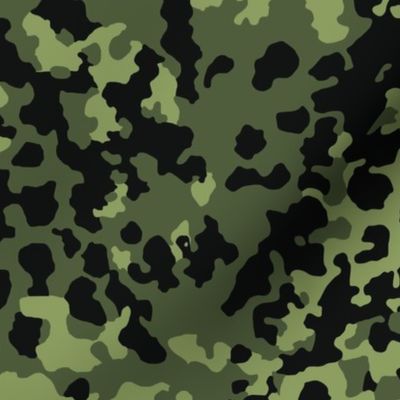 Russian Temperate Flecktar D Camo