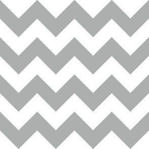 Zig Zag Chevron Silver