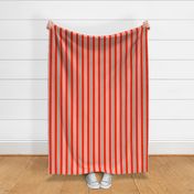 Bold and Cheerful Contemporary Vertical Stripes in Orange Pink Green