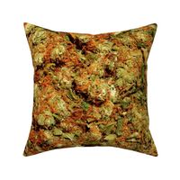 Cushy Kush