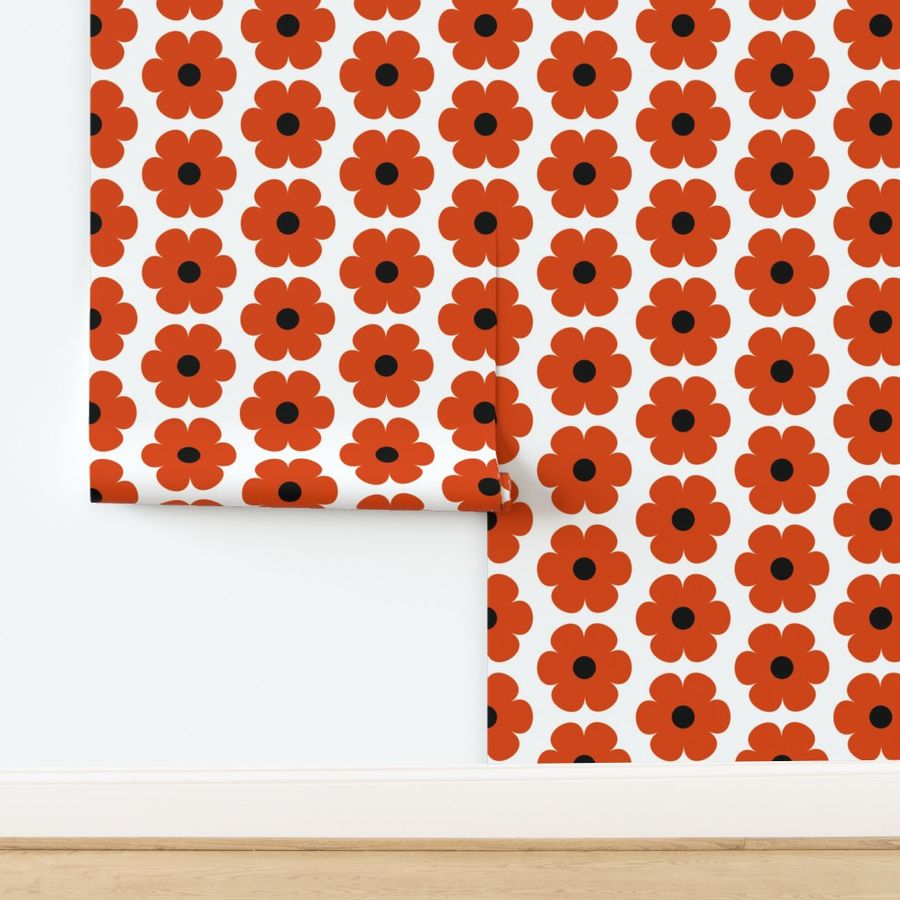 College Daisies Orange and Black Flowers