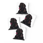 Newfoundland Dog Breed Pet Lovers White