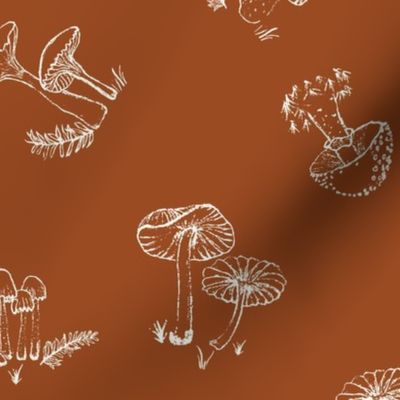 Line Art mushrooms, minimalist, edible wild mushrooms, mushroom dance, tossed, non directional, multidirectional, fall home decor, kitchen design, foraged food, ditsy, autumn