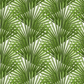 Palm Leaves Allover Green White Background