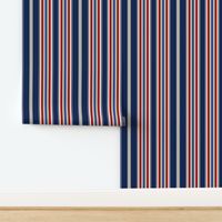 (S) Coastal Chic Awning Stripes in Cobalt, Navy Blue, Red, and Beige