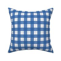 Blue and White Gingham Check - Strawberry Meadow