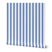 Cornflower Blue 1-Inch Stripe Pattern - Fresh and Modern Design