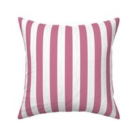  Wild Berry Pink 1-Inch Stripe Pattern - Fresh and Modern Design