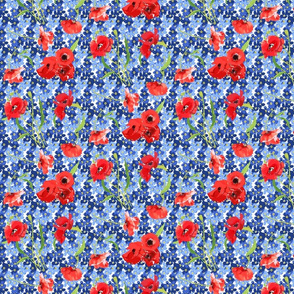 poppies and forget me not bouqet flowers