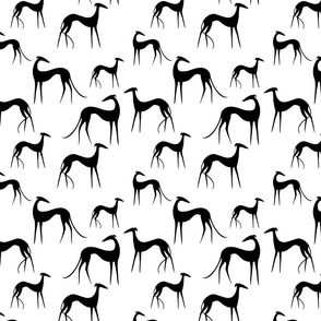 Sighthounds black white