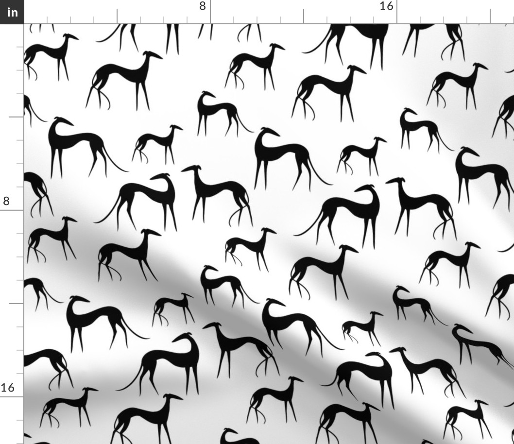 Sighthounds black white