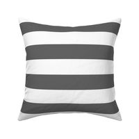 Charcoal Gray Wide Stripes