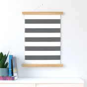 Charcoal Gray Wide Stripes