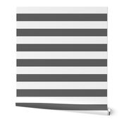 Charcoal Gray Wide Stripes