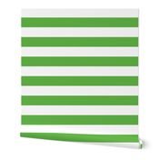 Kelly Green Wide Stripes