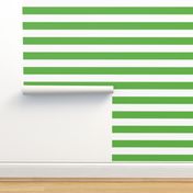 Kelly Green Wide Stripes