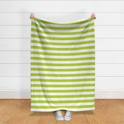 Apple Green Wide Stripes