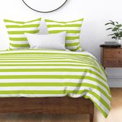 Apple Green Wide Stripes