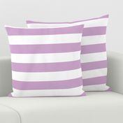 Lilac Purple Wide Stripes