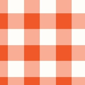 Red And White Gingham Check medium