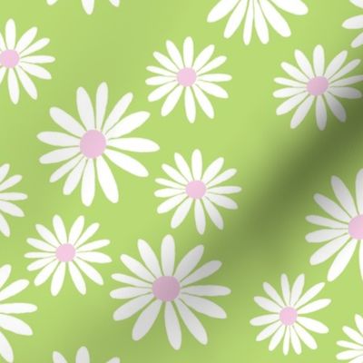 White Daisies, Green