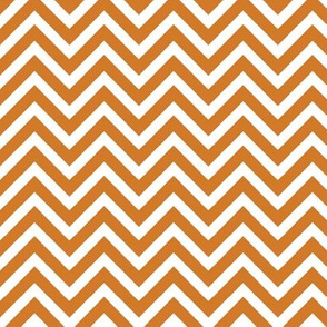 Burnt Orange Chevron