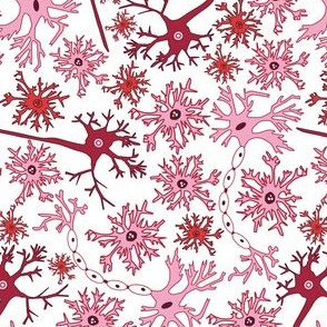 More Neurons