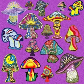 colorful mushrooms