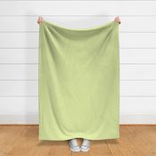 Apple Green Gingham