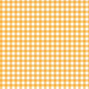 Orange Gingham