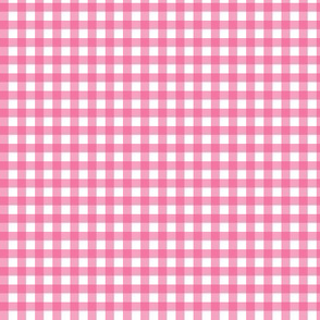 Hot Pink Gingham