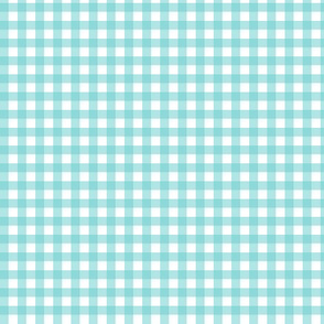 Turquoise Gingham