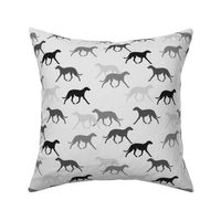 Deerhound black-grey