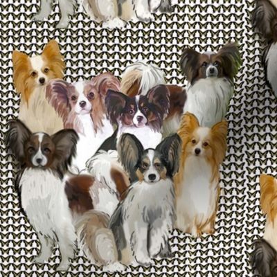 Papillon Group Fabric