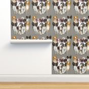 Papillon Group Fabric