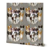 Papillon Group Fabric