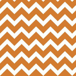 Burnt Orange Chevron