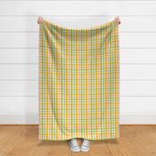 Colorful Plaid - Regular Scale