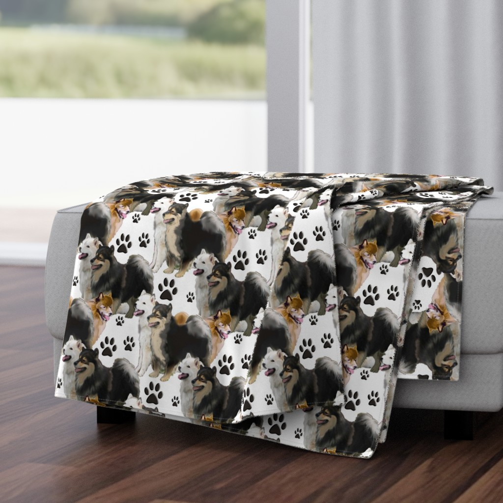 Finnish  Laphund dog fabric