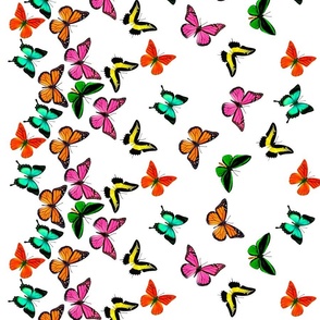 Flights of Fancy butterfly border print