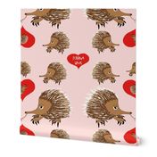 Echidna Love in Pink Valentines Day  