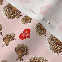 Echidna Love in Pink Valentines Day  