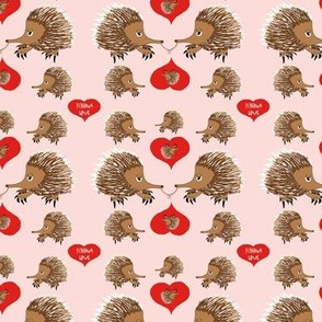 Echidna Love in Pink Valentines Day  