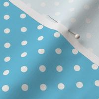 Polka Dot White on Turquoise