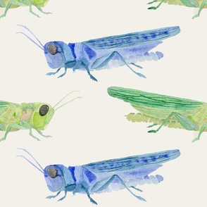 Grasshoppers Blue and Green