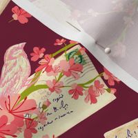 Love Letters and Cherry Blossoms