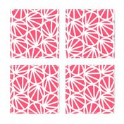 Mari - Geometric Circles - Coral, White Line - Large Scale