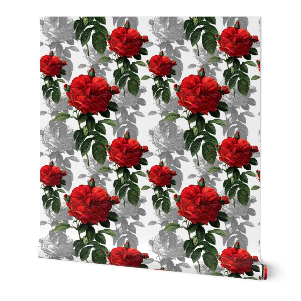 Redoute' Roses ~ Red and Grey