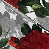 Redoute' Roses ~ Red and Grey